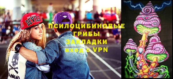 прущие крисы Ладушкин