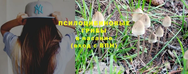 прущие крисы Ладушкин