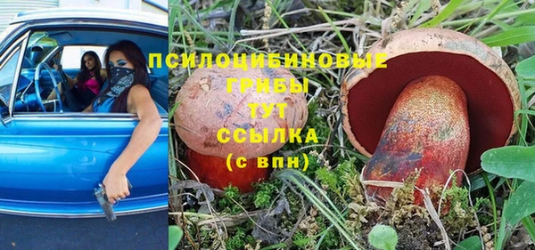 мдпв Братск