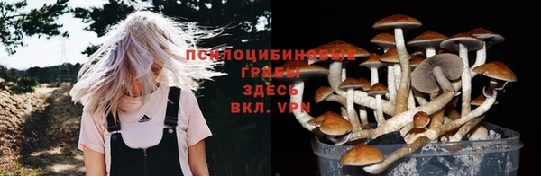мдпв Братск