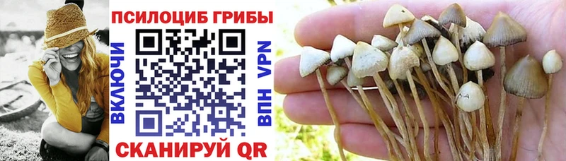 Псилоцибиновые грибы GOLDEN TEACHER  MEGA онион  Данилов 